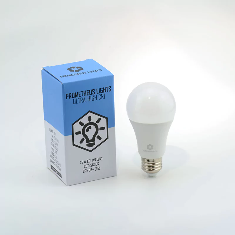 custom printed light bulb box
