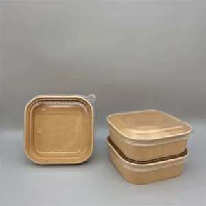 Biodegradable Food Containers