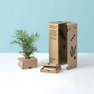 Eco Shipping Boxes